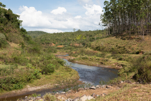 MarianaBarragemBento-Rodrigues.jpg